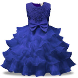 Princess Beautiful Dress with Few Color Selection