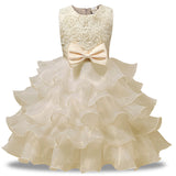 Princess Beautiful Dress with Few Color Selection