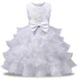 Princess Beautiful Dress with Few Color Selection