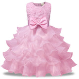 Princess Beautiful Dress with Few Color Selection