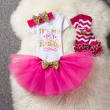 1st Baby Birthday Dress/Tutu  Outfit