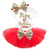 1st Baby Birthday Dress/Tutu  Outfit